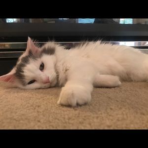 Meet your Posher, Erika